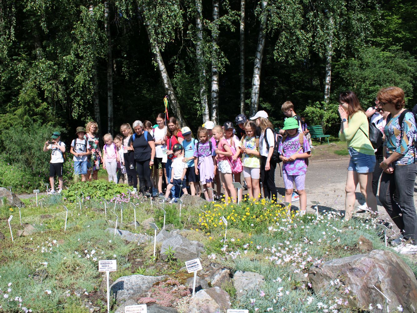 Dzieci oglądają rośliny